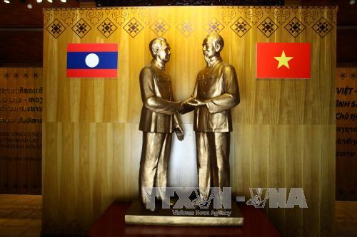 Điện mừng 55 năm quan hệ ngoại giao Việt Nam - Lào ảnh 1